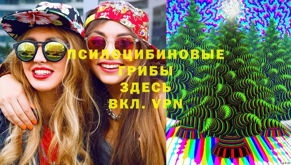 mix Алексин