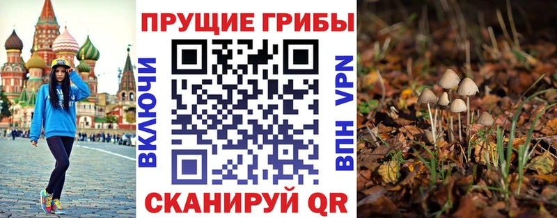 Галлюциногенные грибы Psilocybine cubensis Абаза